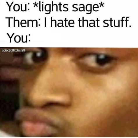 When they dont like the smell of burning sage smudge 😂 Black Memes, Burning Sage, Sage Smudging, Me Irl, Sage Smudge, Spiritual Business, Body Healing, Mindset Coaching, Mindset Quotes