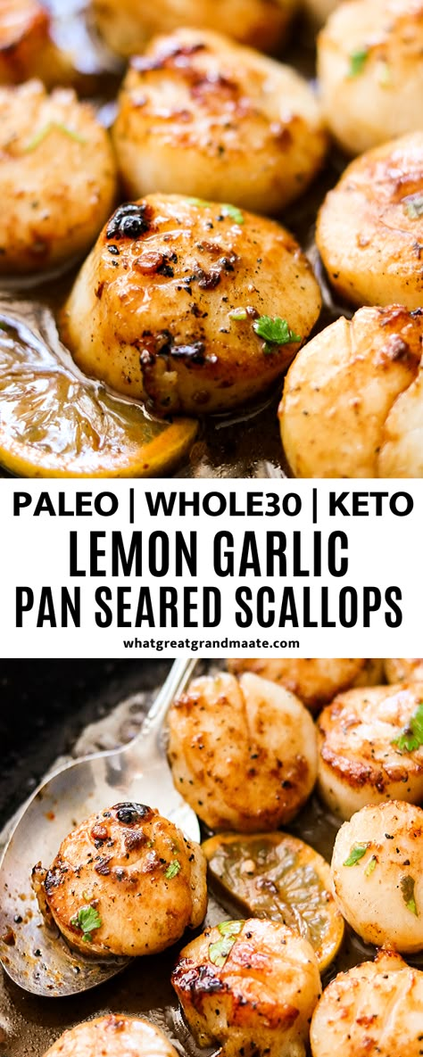 Whole30 Scallops, Paleo Seafood Recipes, Diet Lunch, Pan Seared Scallops, Whole 30 Diet, Seared Scallops, Paleo Recipe, Scallop Recipes, Scallops Seared