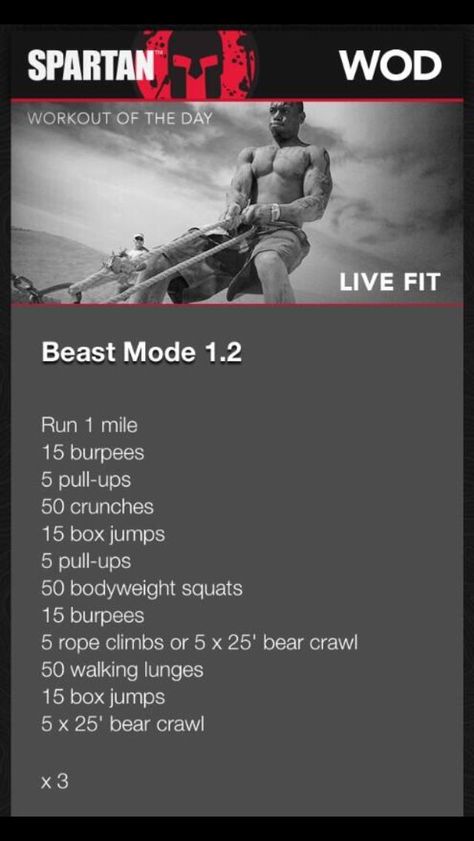 Ocr Training Workout, Ocr Workouts, Spartan Race Training Workouts, Beast Mode Workout, Spartan Training, Spartan Workout, Spartan Race Training, Beast Workout, 300 Workout