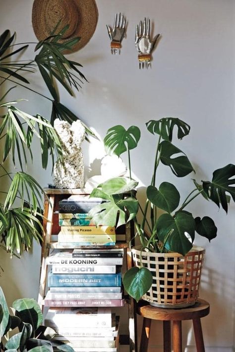 Plants And Books, Decor Plants, Plant Decor Indoor, Functional Decor, Vogue Australia, Decor Rustic, Cheap Home Decor, Home Decor Tips, Plant Decor