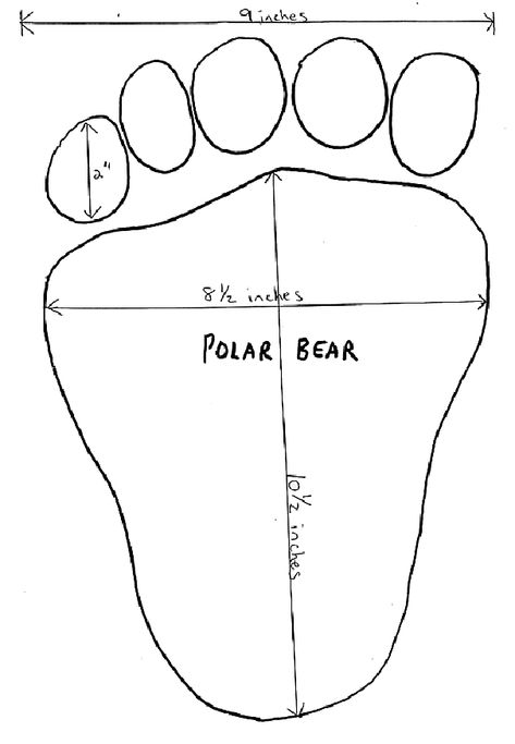 Polar Bear Footprint, Polar Bears Preschool, Footprint Printable, Polar Bear Outline, Polar Animals Preschool, Winter Animals Preschool, Polar Bears Activities, Pictures Of Polar Bears, Arctic Animals Preschool