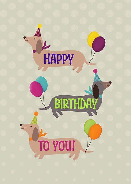 Birthday Dachshund Balloons by Cedarrue | Redbubble Dachshund Birthday Wishes, Dog Birthday Wishes, Happy Birthday Dachshund, Dachshund Party, Birthday Backgrounds, Dachshund Birthday, Small Frames, Pet Birthday, Birthday Greetings Friend