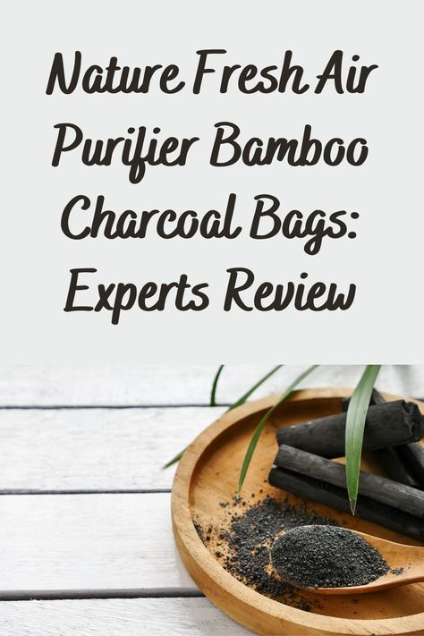 Bamboo Charcoal Air Purifier, Charcoal Air Purifying Bags Diy, Homemade Detergent, Bamboo Charcoal Bags, Diy Nature, Detox Your Home, Charcoal Bags, Natural Air Purifier, Diy Cleaning Products Recipes