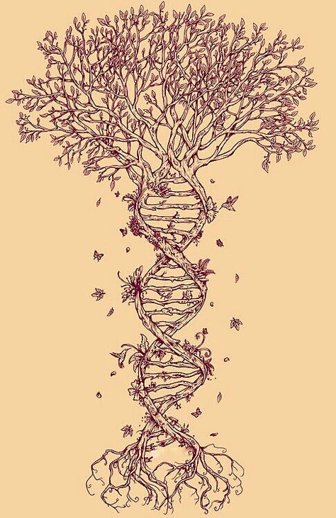 Double helix tree Tree Tatto, Roots Illustration, Biology Drawing, Dna Tree, Science Tattoo, Dna Tattoo, Tattoo Tree, Family Tree Tattoo, Tree Watercolor