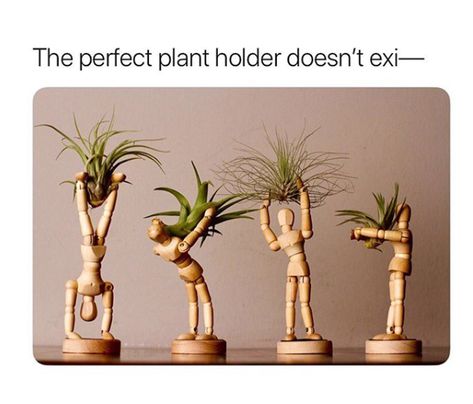 نباتات منزلية, Support Plante, Handmade Planter, Tanah Liat, Unique Planter, Office Plants, Terrarium Plants, Air Plant Holder, Small Planter