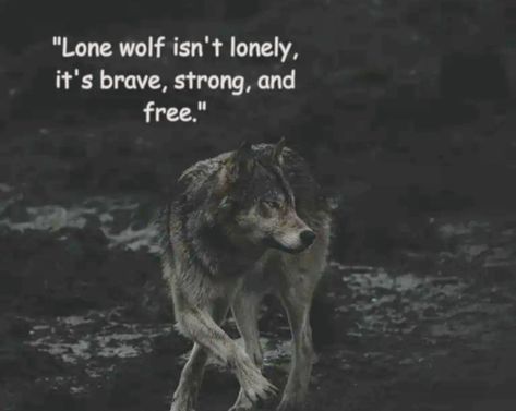 Wolf Quotes Alpha Female, Wolves Quotes, Evil Queen Quotes, Lone Wolf Quotes, Unique Words Definitions, Wolf Quotes, Wolf Spirit Animal, Man Up Quotes, Anime Quotes Inspirational