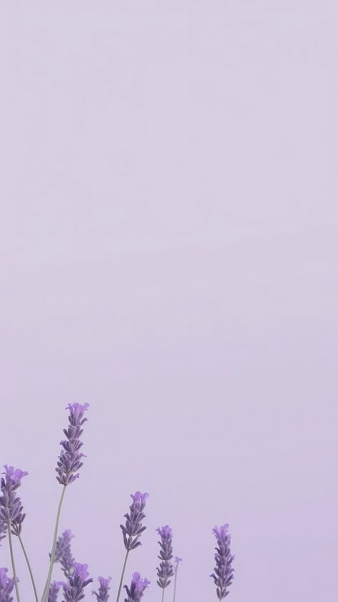 Lavender Theme Wallpaper, Perpul Background, Purple Aesthetic Wallpaper For Ipad, Lavender Ipad Wallpaper, Lavender Background Aesthetic, Soft Lilac Aesthetic Wallpaper, Iphone Wallpaper Plants, Purple Wallpaper Hd, Wallpaper Plants