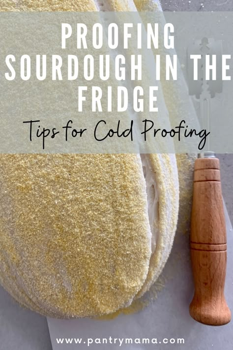 Proofing sourdough in the fridge is considered best practice for superior sourdough flavor and texture. Here are best tips for cold proofing. The Pantry Mama, Pantry Mama, Proofing Bread, Baking Techniques, Sourdough Bread Starter, Sourdough Bread Sandwiches, Sourdough Starter Discard Recipe, Homemade Sourdough Bread, Bread Starter