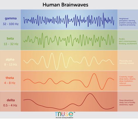 A Deep Dive Into Brainwaves: Brainwave Frequencies Explained What Is Consciousness, Brainwave Entrainment, Solfeggio Frequencies, Didgeridoo, Diagram Chart, Flow State, Binaural Beats, Deep Meditation, E Mc2