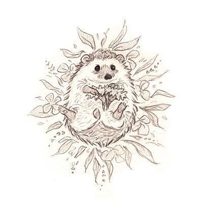 Hedgehog Tattoo, Hair Tattoo Designs, Hedgehog Drawing, Hedgehog Illustration, City Sketch, Hedgehog Art, Cute Hedgehog, Cartoon Styles, Cute Tattoos