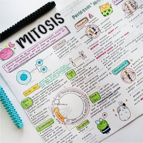 biology notes, mitosis #studygram ★·.·´¯`·.·★ follow @motivation2study for daily inspiration Beautiful Study Notes, Lecture Notes Ideas, College Lecture, Note Layout, Note English, Note Tips, Notebook Layout, خريطة ذهنية, Note Ideas