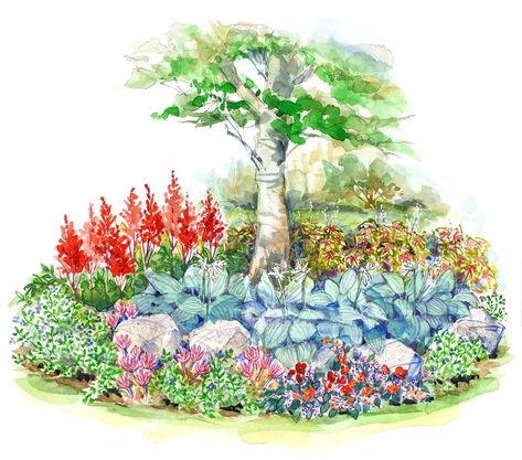 small-space-shade-garden-plan-illustration-97bc227e Shade Garden Design, Flower Garden Plans, Garden Plan, Garden Shrubs, Shade Trees, Charming Garden, Front Yard Garden, Woodland Garden, Small Space Gardening