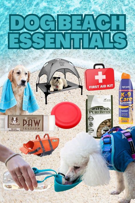 Dog Walking Essentials, Dog Beach Essentials, Dog Birthday Photo, Pet Sunscreen, Dog Travel Accessories, Puppy Room, Dog Accesories, Cavalier Puppy, Beach Dog