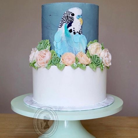 Queen of Hearts Couture Cakes on Instagram: “Today we share a cutie Australian  budgie bird design cake inspired by the amazing works of Jessica Watts @jessowatts ❤️ . 100% BUTTERCREAM…” Heart Couture, Clifton Village, Budgie Bird, Budgies Bird, Wedding Background Decoration, Holiday Inspo, Couture Cakes, Gift Presentation, Design Cake