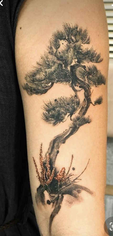 Red Pine Tree, Bonsai Tattoo, Plus Size Tattoos, Bonsai Tree Tattoos, Pine Tattoo, Tree Tattoo Forearm, Tree Tattoo Men, Animal Sleeve, Hippie Tattoo