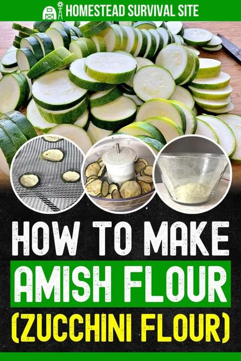 How To Use Dehydrated Zucchini, Zucchini Dehydrator Recipes, Diy Zucchini Flour, How To Make Zucchini Flour, Freeze Dry Zucchini, Amish Zucchini Flour, Vegetable Flour Recipes, Amish Flour Recipes, Squash Flour Recipes