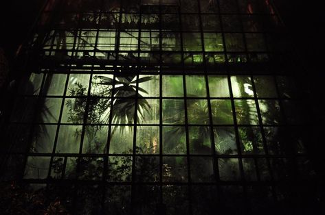 Greenhouse at night Corpse Flower, Victorian Greenhouse, Oc Aesthetic, Green Vibes, Chrysanthemum Tattoo, Gothic Cathedral, Tove Jansson, Scene Design, The Revenant