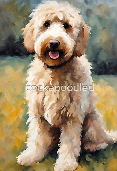 Blonde Labradoodle, Labradoodle Watercolor, Labradoodle Painting, Labradoodle Drawing, Labradoodle Art, Goldendoodle Art, Labradoodle Dog, Animal Aesthetic, Ballet Painting