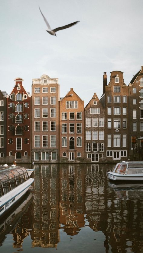 Amsterdam Fall Aesthetic, Amsterdam Street Photography, Amsterdam Aesthetic Vintage, Amsterdam Aesthetic Wallpaper, City Photography Wallpaper, Amsterdam Netherlands Aesthetic, Amsterdam Honeymoon, Travel Vibes Aesthetic, Amsterdam Painting