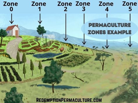 Permaculture Architecture, Agrotourism Ideas Farms, 5 Acre Homestead Layout, Hillside Farming, Permaculture Farming, Permaculture Farm, Homestead Layout, Food Forest Garden, Orchard Design