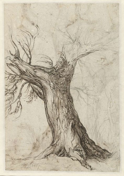 Jacques de Gheyn regularly ventured out into nature, taking chalk and paper with him. On one of his walks he recorded the contours of this tree with just a few black chalk lines. Once back in his studio, De Gheyn worked up the sketch further with pen and ink. Study of a tree trunk is an artwork on USEUM. It was created by Jacob de Gheyn II in 1598. Log in to USEUM to download unlimited free images, send e-cards and interact with thousands of famous paintings, drawings and illustrations. Tree Trunk Drawing, Boom Kunst, Tree Drawings Pencil, Tree Study, Tree Sketches, Tree Artwork, Famous Artwork, Tree Illustration, Landscape Drawings