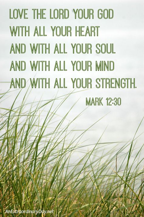 Do you feel pretty good about being independent and self-sufficient? Most of us do. But, here's the interesting thing... it's NOT what God wants for us. Today I share my latest faith lesson and an upside down glimpse of what God really desires for me and YOU. Mark 12 30, Being Independent, Favorite Bible Verses, Love The Lord, Jesus Loves Me, Feel Pretty, Scripture Quotes, Verse Quotes, Scripture Verses