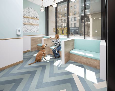 Vet Hospital, Virtual Care, Competition Winner, Vet Medicine, Vet Clinic, Chicago Neighborhoods, Preventive Medicine, Vet Clinics, Hospital Design