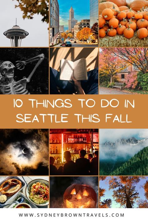 These are 10 of the best things to do in Seattle in the fall! From pumpkin patches to haunted houses, and everything in between! Visiting Seattle in October and November is a great way to celebrate the fall and spooky season. Seattle In October, See The World Quotes, Washington Things To Do, Visiting Seattle, Things To Do In Seattle, Seattle Vacation, Seattle Travel, Visit Seattle, Washington Travel