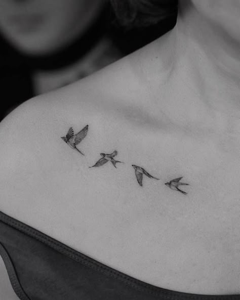 Bird Tattoo Collarbone, Swallow Tattoo Design, Swallow Bird Tattoos, Clavicle Tattoo, Tiny Bird Tattoos, International Tattoo, Bird Tattoos For Women, Bird Tattoos, Swallow Tattoo