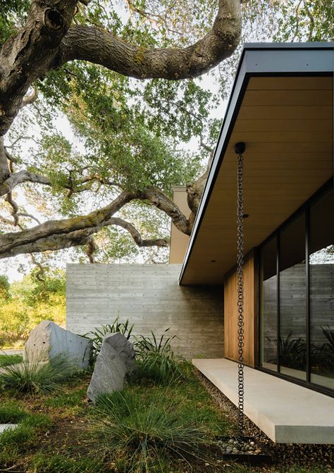 Sanctuary House, Board Formed Concrete, Urban Tree, Urban Setting, Concrete Patio, Lush Garden, Architecture Photo, Design Milk, Landscape Architect