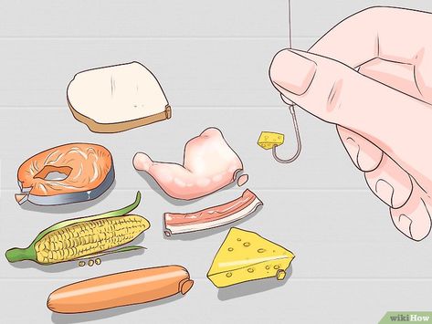 5 Ways to Make Fish Bait Without Worms - wikiHow Cheese Hot Dogs, Diy Fishing Bait, How To Catch Catfish, Bread Chicken, How To Make Fish, Corn Cheese, Fish Bait, Diy Fishing, Small Frog