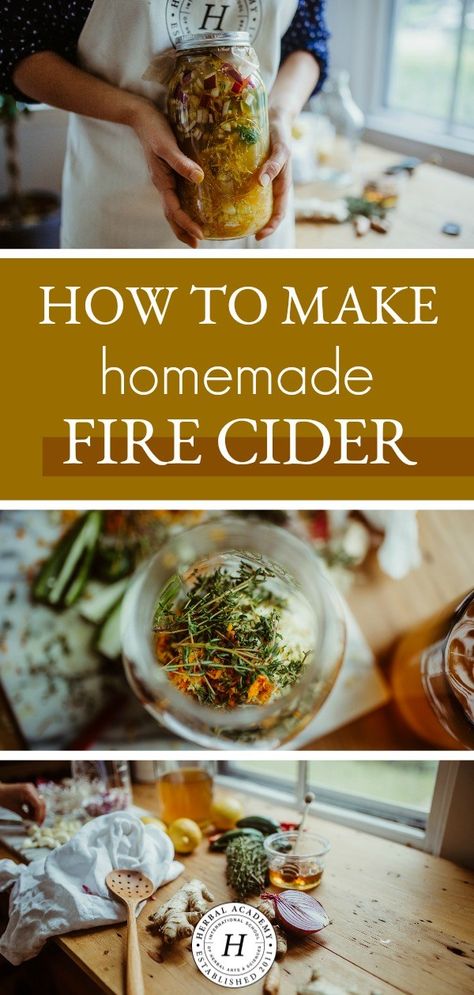 Fire Cider Recipe, Herbal Academy, Fire Cider, Cider Recipe, Herbal Recipes, Herbal Healing, Cold Remedies, Homemade Remedies, Sore Throat