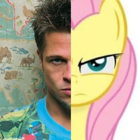 Mlp Memes, رورونوا زورو, Tyler Durden, Silly Images, Silly Pictures, Bastille, Fluttershy, What’s Going On, Really Funny Pictures