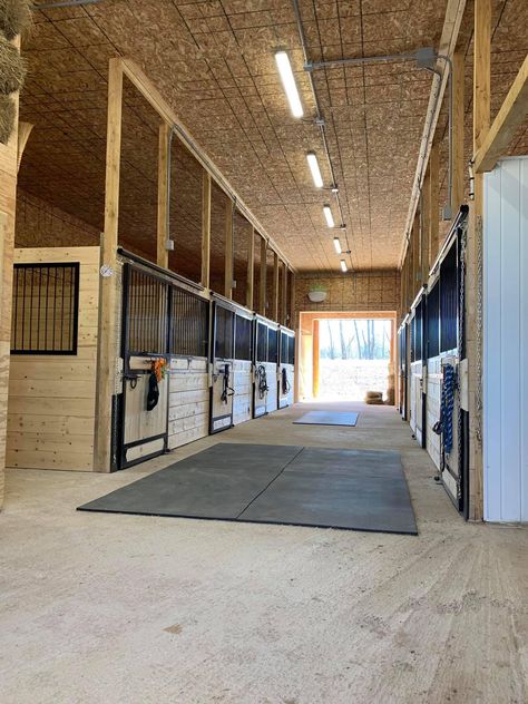 Horse Yard Ideas, Barn Tack Room Ideas, Stable Layouts, Horse Barn Designs Layout, Feed Room Ideas Barn, Horse Stall Ideas, Horse Barn Interior, Horse Stall Fronts, Horse Feed Room