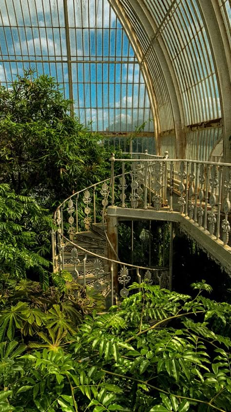 Beautiful Green Houses, Buildings With Plants, Greenhouse Ceiling, Greenhouse Reference, Magic Greenhouse, Greenhouse Castle, Greenhouse Pond, Fantasy Greenhouse, Tree Greenhouse