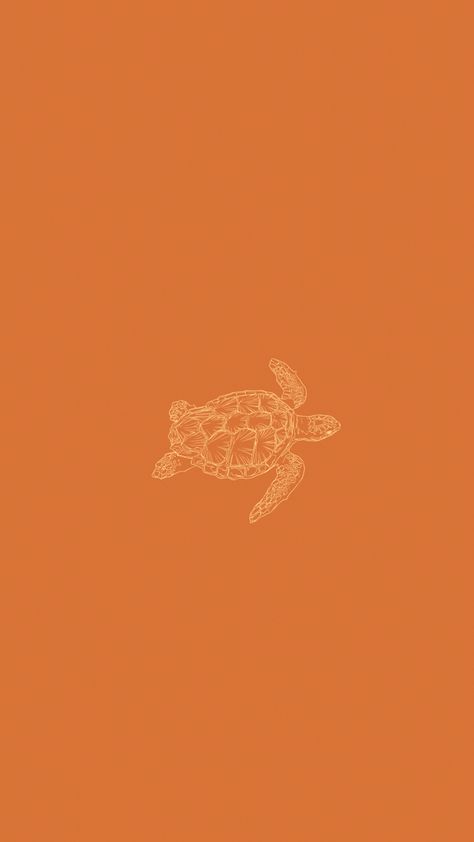 Summer Wallpers Iphone, Hippie Summer Wallpaper, Summer Wallpaper Turtle, Summer Wallpaper Orange, Letterboard Quotes Short, Surf Wallpaper Backgrounds, Cool Orange Wallpaper, Sea Turtle Wallpaper Iphone, Turtle Wallpaper Aesthetic