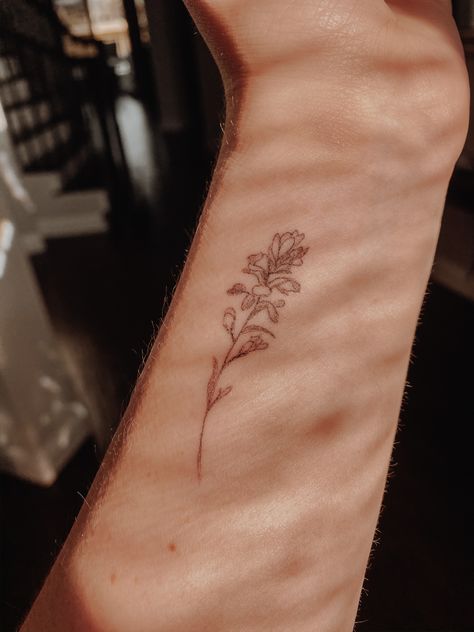 single-needle floral tattoo Fine Line Indian Paintbrush Tattoo, Oregon Wildflowers Tattoo, Indian Paintbrush Flowers Tattoo, Desert Floral Tattoo, Indian Paintbrush Tattoo Black And White, Indian Paint Brush Tattoo, Paintbrush Flower Tattoo, Saskatchewan Tattoo, Indian Paintbrush Drawing