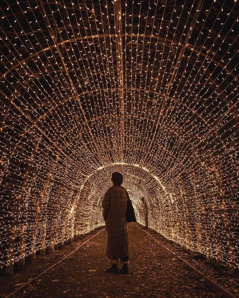 New York Bucket List on Instagram: “Just a few weeks left to wander this dreamy oasis of lights - Who wants to go? 💡 Get 20% off tickets at BucketListers.com or our link in…” Travel Destinations In The Us, Christmas Vacation Destinations, Winter Lantern, New York Bucket List, New York City Night, Nyc Winter, Light Tunnel, Holiday Travel Destinations, Road Trip Destinations