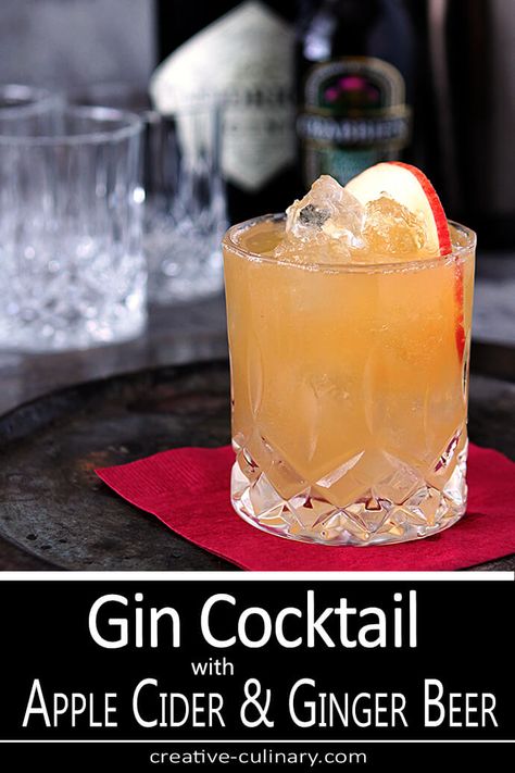 Gin, Apple Cider & Ginger Beer Cocktail Beer Cocktail Recipes, Ginger Beer Cocktail, Beer Cocktail, Gin Lemon, Hendricks Gin, Cider Cocktails, Gin Drinks, Beer Cocktails, Bourbon Cocktails