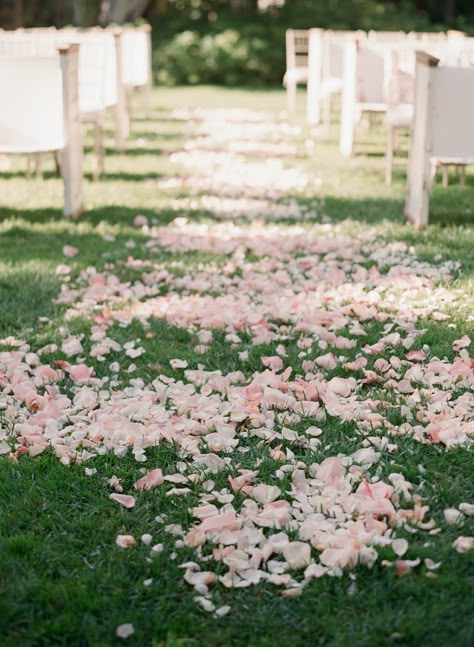 Garden Wedding Ceremony Decorations, Rose Petal Aisle, Flower Petals Wedding, Wedding Aisle Outdoor, Diy Outdoor Weddings, Elizabeth Messina, Wedding Collage, Rose Petals Wedding, Aisle Runner Wedding