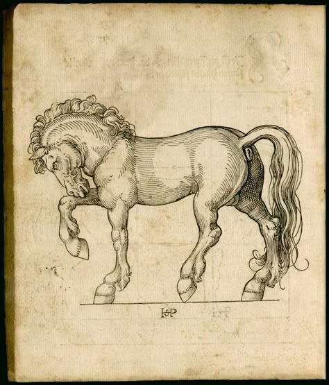 Horse Engraving, German Artists, Medieval Horse, Medieval Drawings, Ancient Drawings, Horse Illustration, Horse Tattoo, Horse Drawing, Horse Drawings