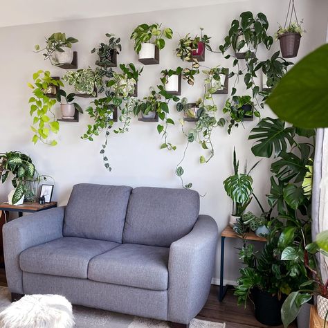 Faux plant wall