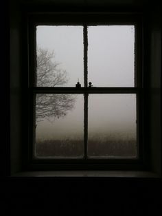 An Open Window, 3rd December, Window Photography, Fall Mood, Over The Garden Wall, Foto Tips, Window View, Dark Academia Aesthetic, Through The Window