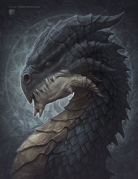 Draco Magi Dragons Kerem Beyit, Illustration Website, Illustration Example, Dragon Turtle, Fashion Abstract, Shadow Dragon, Illustration Styles, Dragon Sketch, Beautiful Dragon