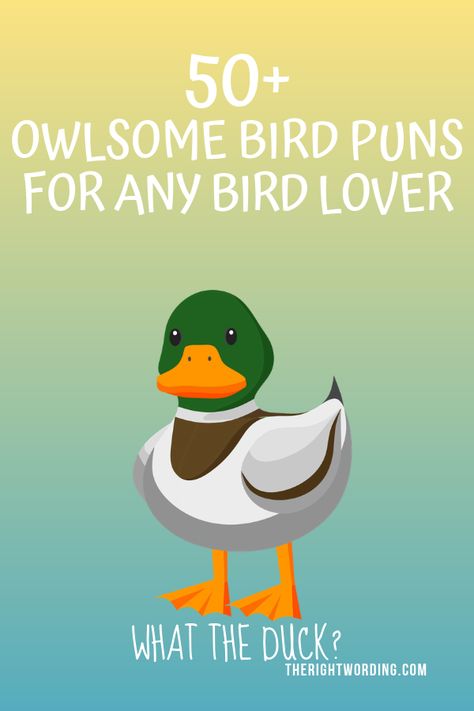 50+ Owlsome Bird Puns To Emu-se Your Friends Happy Bird Day Card, Bird Jokes Hilarious, Encouragement Puns Funny, Bird Quotes Short Funny, Duck Sayings Funny, Duck Sayings Quotes, Duck Puns Funny, Funny Birds Pictures Hilarious, Bird Sayings Cute