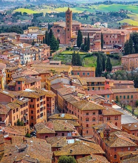 Sienna Italy, Italy Elopement, Pretty Views, Siena Italy, Italy Tuscany, Verona Italy, Venice Travel, Italy Aesthetic, Puglia Italy