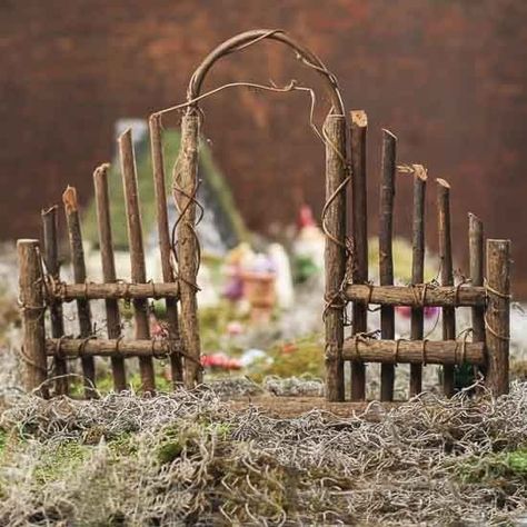 Fairy Garden Design Ideas, Funny Vine, Fairy Garden Furniture, Fairy Garden Crafts, Fairy Garden Designs, Fairy Furniture, Faeries Gardens, Mini Fairy Garden, Fairy Tree