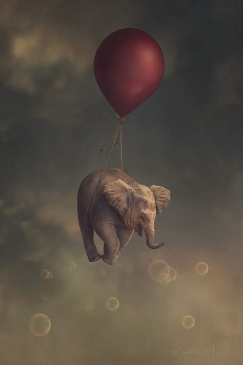 Red Balloon, An Elephant, Elephant, Red