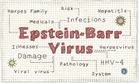 Ebv Virus, Chronic Epstein Barr, Epstein Barr, Fatigue Symptoms, Autoimmune Disorders, Medical Medium, Autoimmune Disorder, Adrenal Fatigue, Health Information