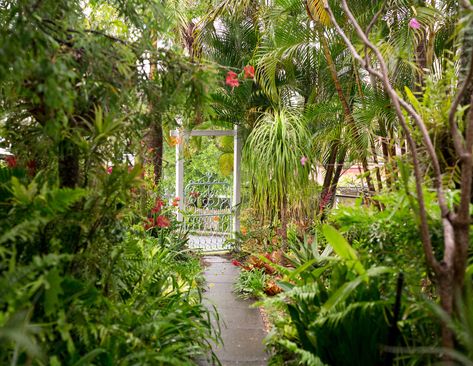 Queenslander House, Gardens Ideas, Growing Hydrangeas, Italian Garden, All About Plants, Tropical Garden, Front Garden, Lush Green, Garden Center